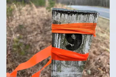 Lot 15 Fisher Valley Road, Dobson, NC 27017 - Photo 3