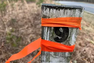 Lot 15 Fisher Valley Rd, Dobson, NC 27017 - Photo 3