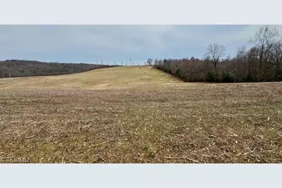 Tbd Chandler Road, Dobson, NC 27017 - Photo 27