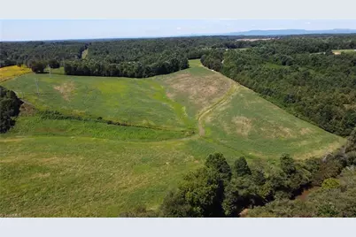 Tbd Chandler Road, Dobson, NC 27017 - Photo 9