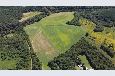 Tbd Chandler Road, Dobson, NC 27017 - Photo 5