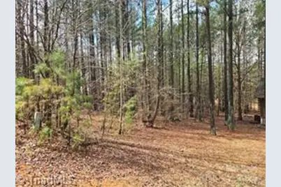 225 Cove Wood Drive, Denton, NC 27239 - Photo 3