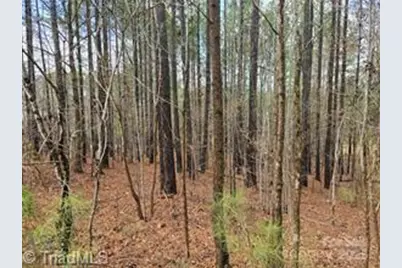 225 Cove Wood Drive, Denton, NC 27239 - Photo 1