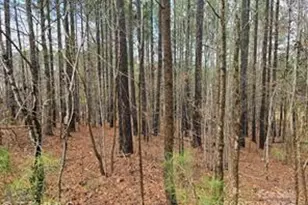 225 Cove Wood Dr, Denton, NC 27239 - Photo 1