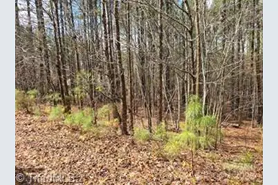 225 Cove Wood Drive, Denton, NC 27239 - Photo 5