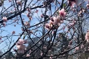 210 Gunters Hill Rd, Boomer, NC 28606 - Photo 31