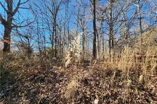 501 Factory St, Ronda, NC 28670 - Photo 1