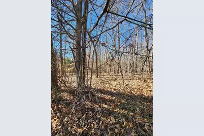 501 Factory Street, Ronda, NC 28670 - Photo 3