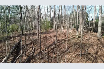 Tbd Woodland Drive, Elkin, NC 28621 - Photo 7