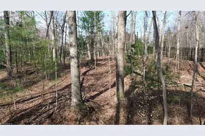 Tbd Woodland Drive, Elkin, NC 28621 - Photo 11