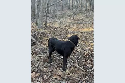 001 Estate Drive, Providence, NC 27315 - Photo 13