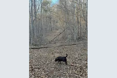 001 Estate Drive, Providence, NC 27315 - Photo 17