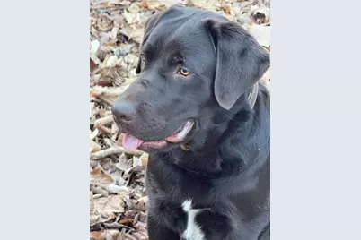 001 Estate Drive, Providence, NC 27315 - Photo 33