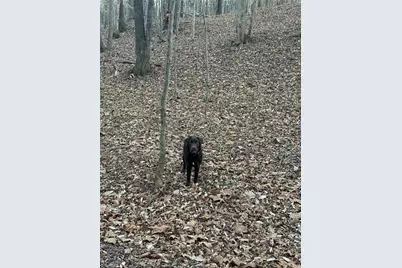 001 Estate Drive, Providence, NC 27315 - Photo 35