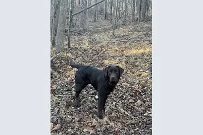 001 Estate Drive, Providence, NC 27315 - Photo 19