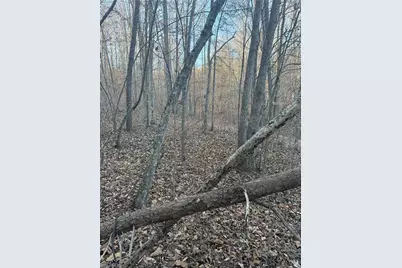 001 Estate Drive, Providence, NC 27315 - Photo 15