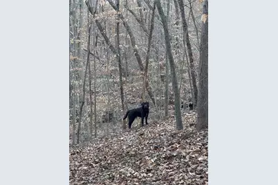 001 Estate Drive, Providence, NC 27315 - Photo 29