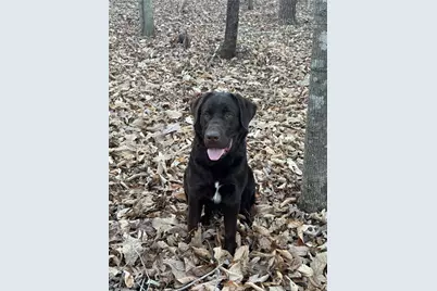 001 Estate Drive, Providence, NC 27315 - Photo 1