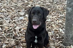 001 Estate Dr, Providence, NC 27315 - Photo 1