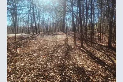 00 Golf Course Road, Pilot Mountain, NC 27041 - Photo 17