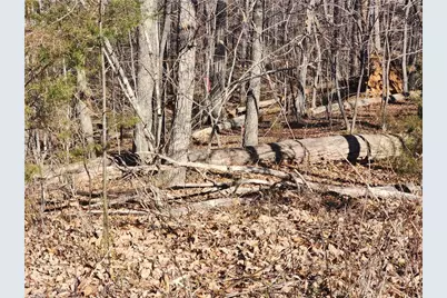 00 Golf Course Road, Pilot Mountain, NC 27041 - Photo 15