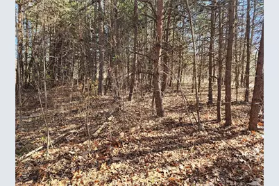 00 Golf Course Road, Pilot Mountain, NC 27041 - Photo 5