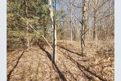 00 Golf Course Road, Pilot Mountain, NC 27041 - Photo 13