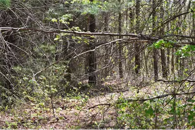 00 Swaringen Road, Traphill, NC 28685 - Photo 23