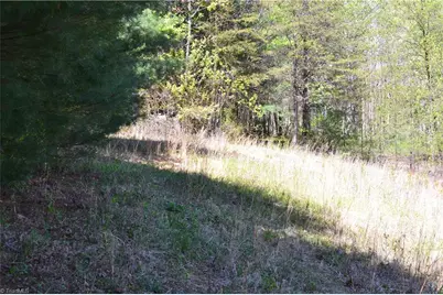 00 Swaringen Road, Traphill, NC 28685 - Photo 19