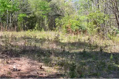 00 Swaringen Road, Traphill, NC 28685 - Photo 21