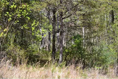 00 Swaringen Road, Traphill, NC 28685 - Photo 9