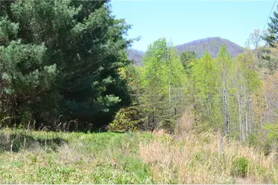 00 Swaringen Road, Traphill, NC 28685 - Photo 13