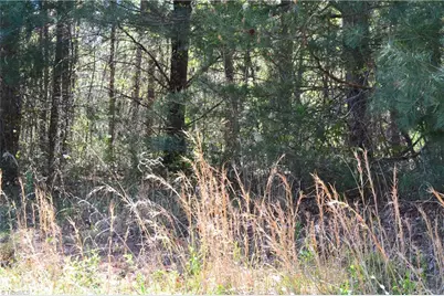 00 Swaringen Road, Traphill, NC 28685 - Photo 25