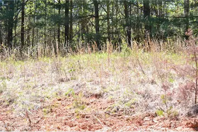 00 Swaringen Road, Traphill, NC 28685 - Photo 15