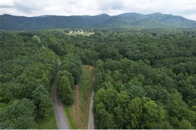 00 Swaringen Road, Traphill, NC 28685 - Photo 9