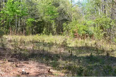 00 Swaringen Road, Traphill, NC 28685 - Photo 5