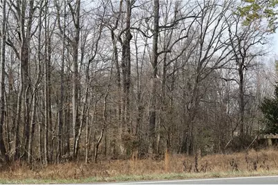 2041 Sandy Cross Road, Reidsville, NC 27320 - Photo 15