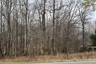 2041 Sandy Cross Rd, Reidsville, NC 27320 - Photo 15