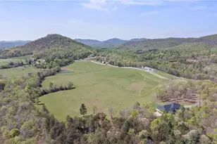 447 Willow Pond Ln, Hiddenite, NC 28636 - Photo 27