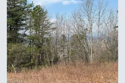 Tbd White Oak Road, Purlear, NC 28665 - Photo 29