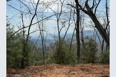Tbd White Oak Road, Purlear, NC 28665 - Photo 33