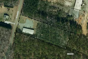 381 Sedberry Rd, Biscoe, NC 27209 - Photo 35