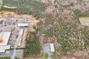 381 Sedberry Rd, Biscoe, NC 27209 - Photo 31