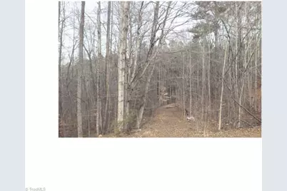 00 Mountview Drive, Pelham, NC 27311 - Photo 1