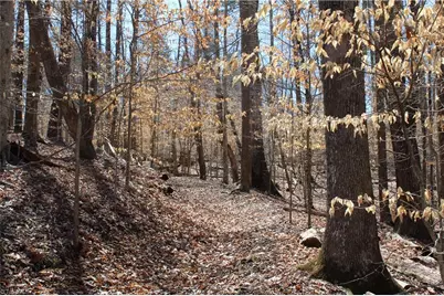 0 Jones Road, Reidsville, NC 27320 - Photo 19