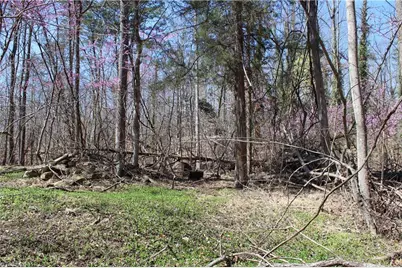 0 Jones Road, Reidsville, NC 27320 - Photo 27