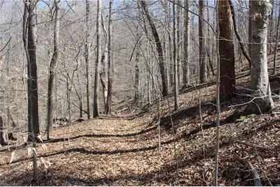 0 Jones Road, Reidsville, NC 27320 - Photo 15