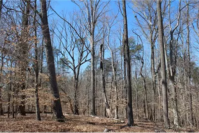 0 Jones Road, Reidsville, NC 27320 - Photo 11