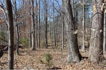 0 Jones Road, Reidsville, NC 27320 - Photo 23