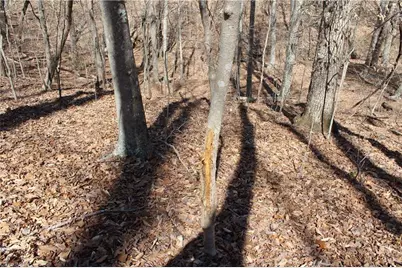 0 Jones Road, Reidsville, NC 27320 - Photo 13